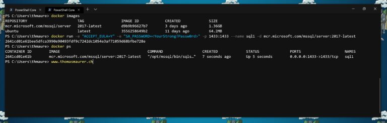 SQL Server on Linux Docker Container Windows 10 WSL 2