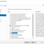 Windows Server 2019 Add Remote Access Role