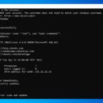 Windows Subsystem for Linux 2 on Windows Server 2022